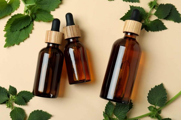 Design et location : séjours dans des espaces architecturaux modernes